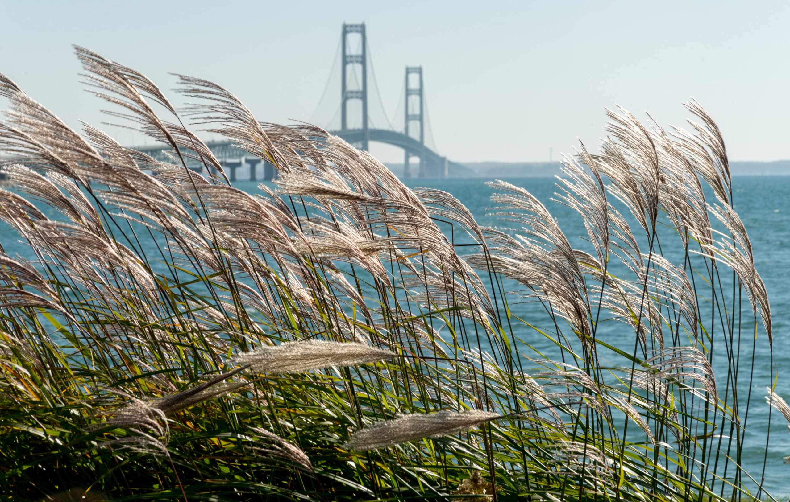Pension Reform Helps Improve Michigan’s Credit Rating