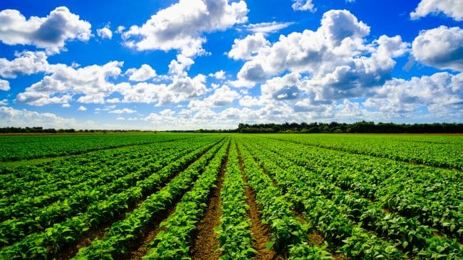 How Burdensome Regulation Obstructs Hunger Relief