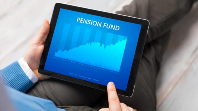 Public pension reform does not increase inequality