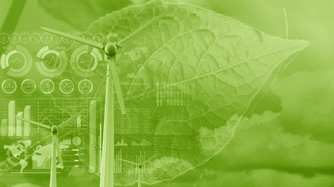 Would a Green Fiscal Stimulus Help the Environment and the Economy?