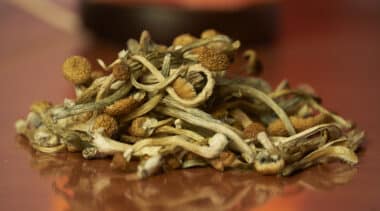 Exploring new data on the safety of psychedelics