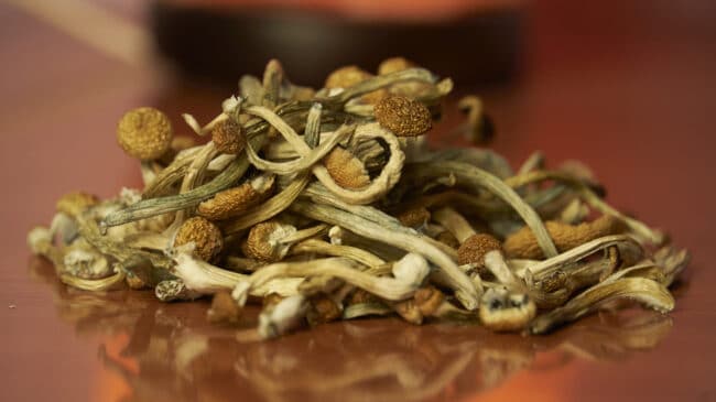 Exploring new data on the safety of psychedelics